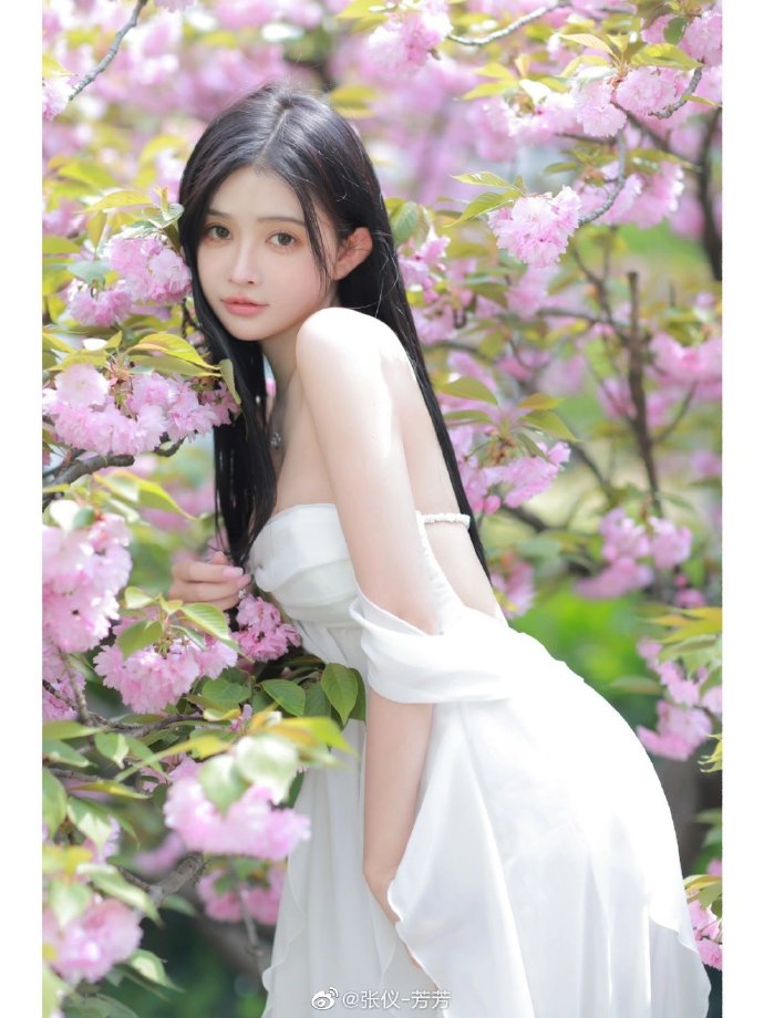 春光乍泄
